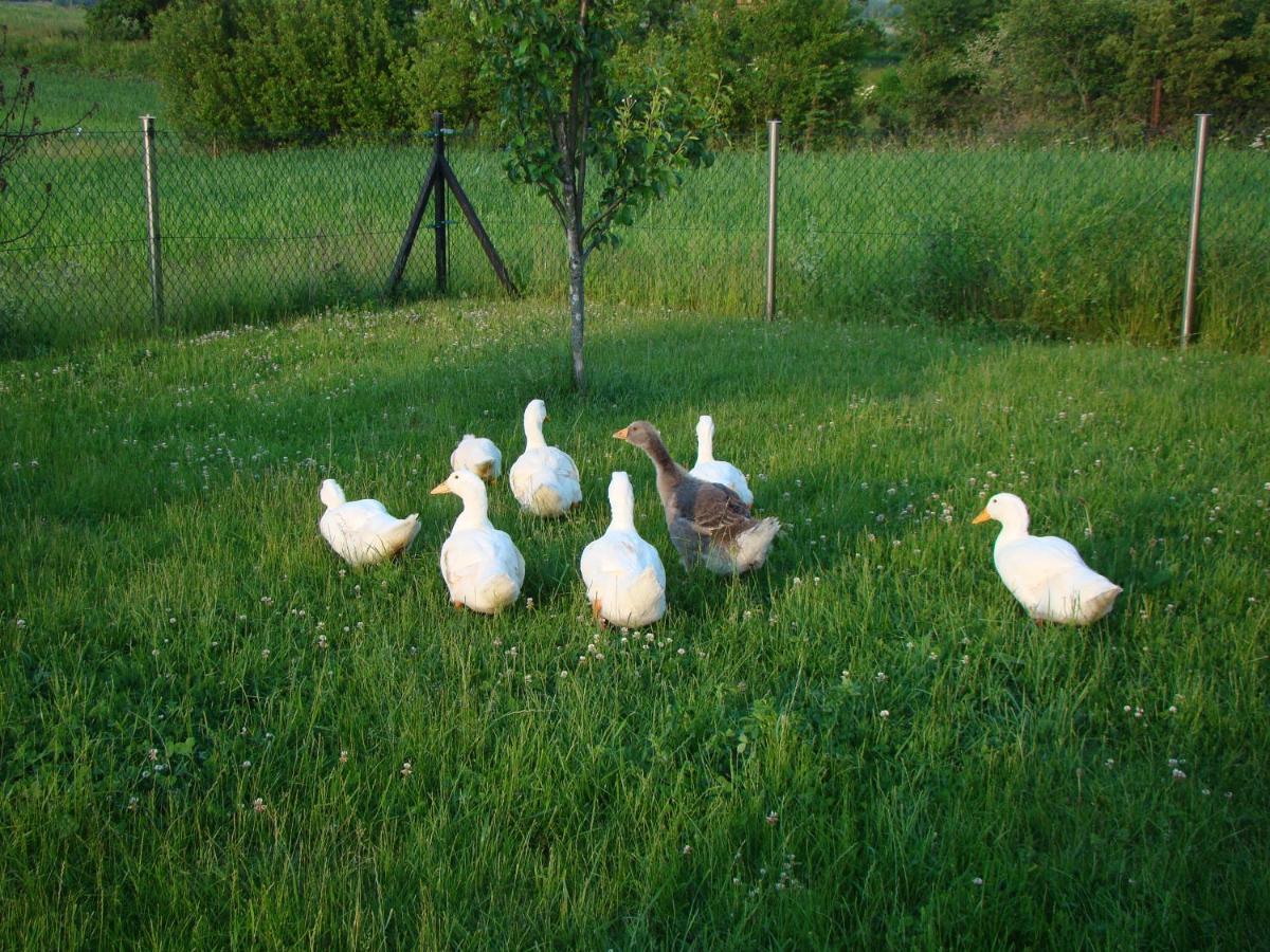 Pokoje Przy Kominie Piecki  Buitenkant foto